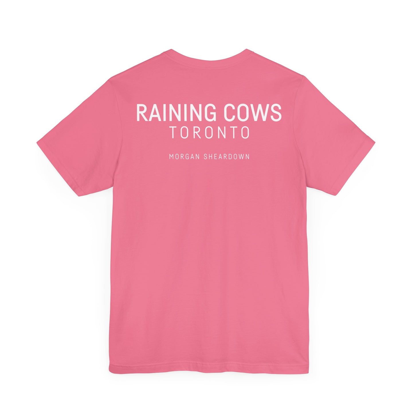 RAINING COWS "Vibrant Horizon" T-Shirt