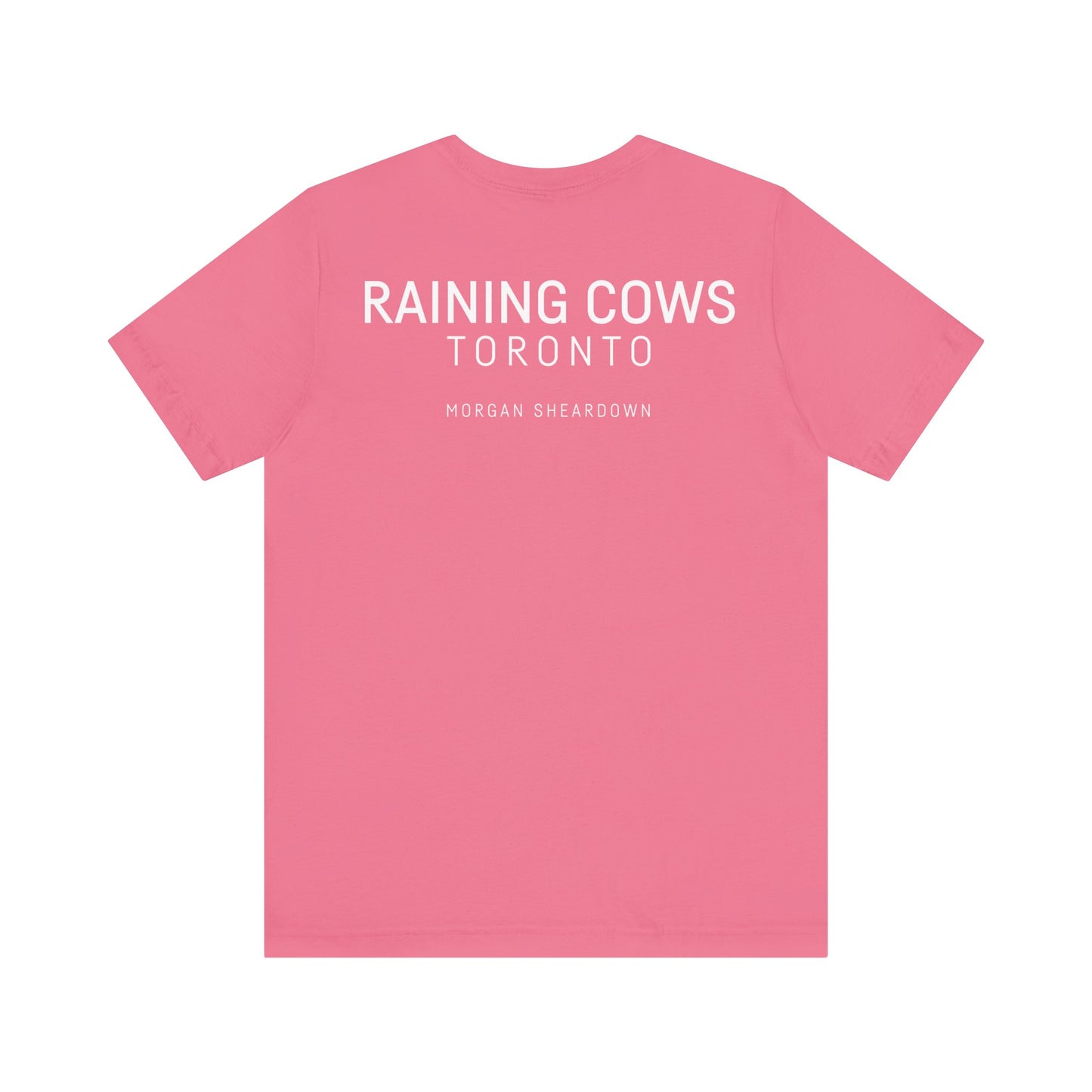 RAINING COWS "Vibrant Horizon" T-Shirt