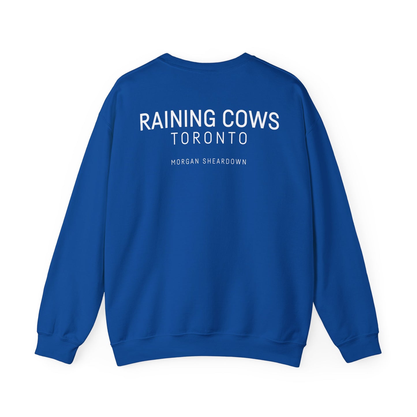 RAINING COWS "Vibrant Horizon" Sweatshirt