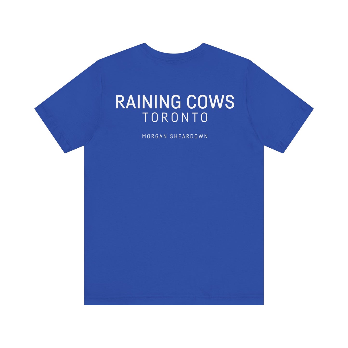 RAINING COWS "The Other Side of Midnight" T-Shirt