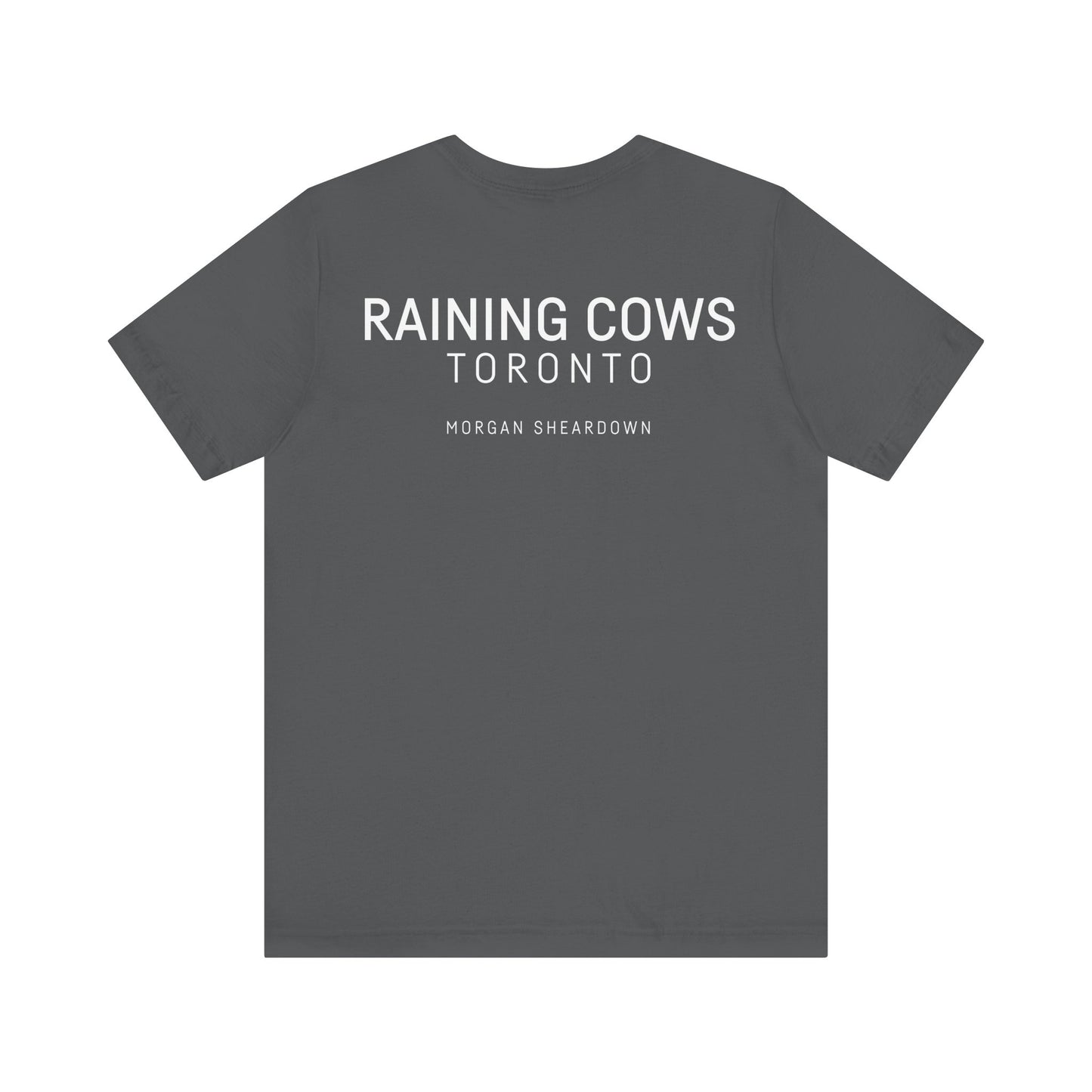 RAINING COWS "The Other Side of Midnight" T-Shirt