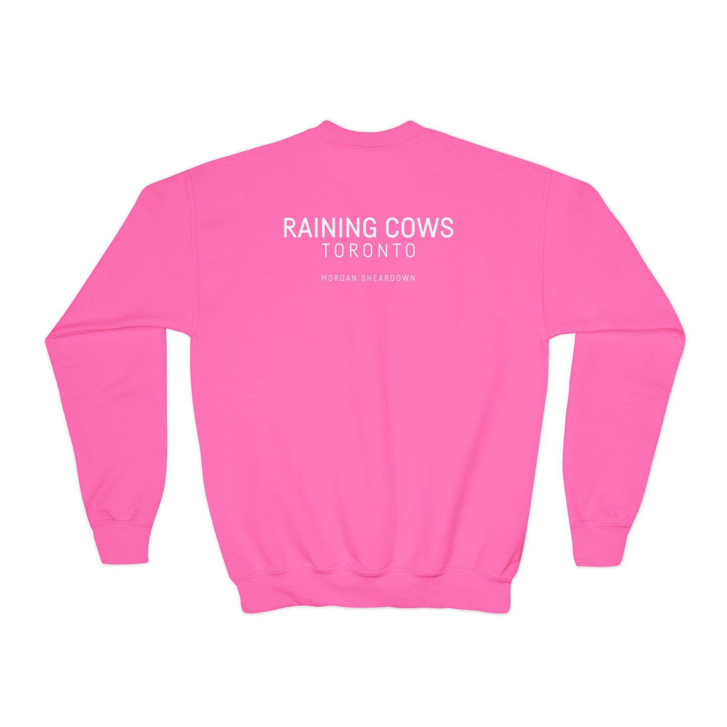 RAINING COWS "Purple Alley Way" Kids Sweatshirt