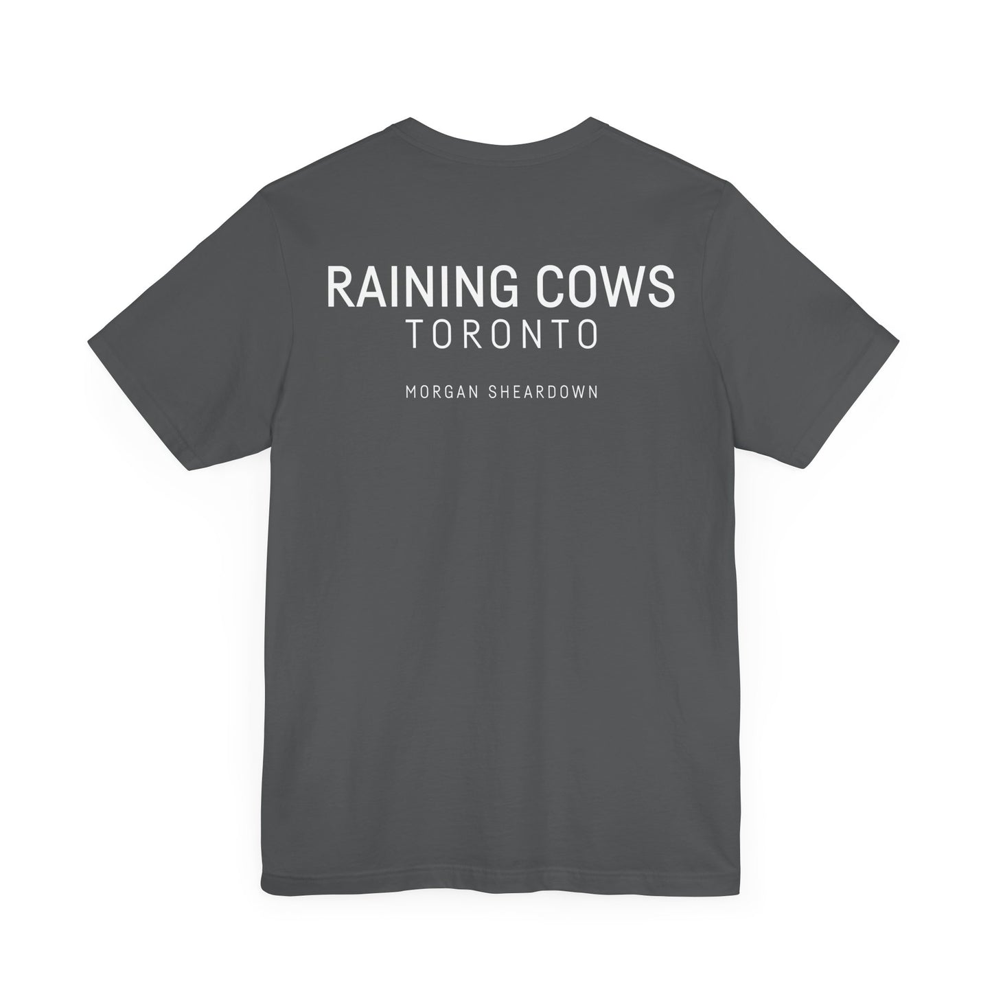 RAINING COWS "The Other Side of Midnight" T-Shirt