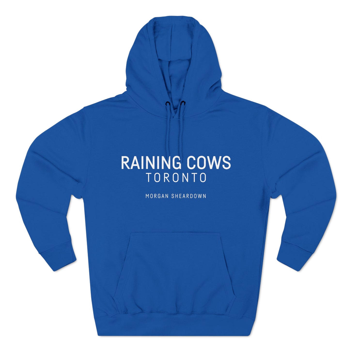 RAINING COWS "Nemo Stripes" Hoodie