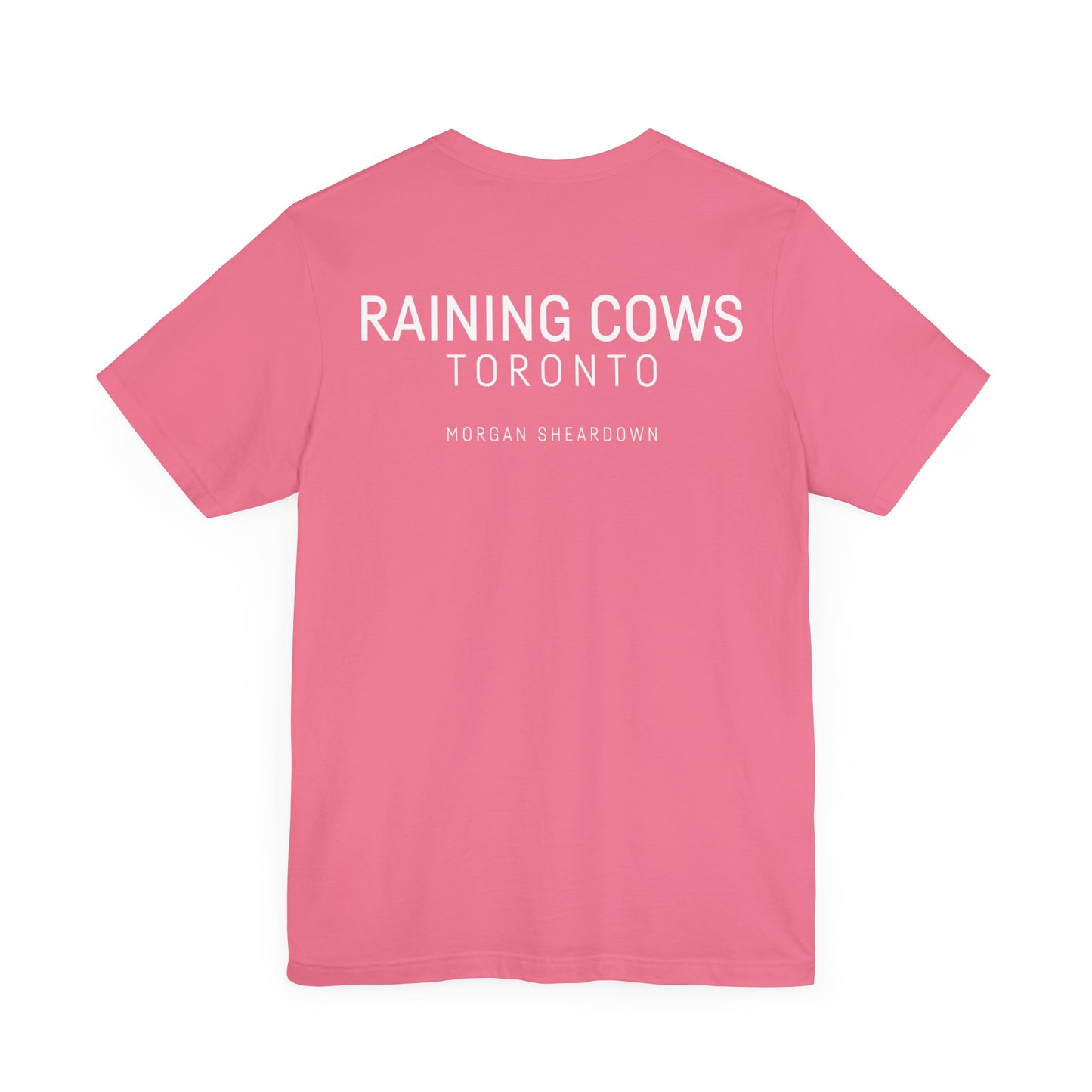 RAINING COWS "Bubble Gum Sun" T-Shirt