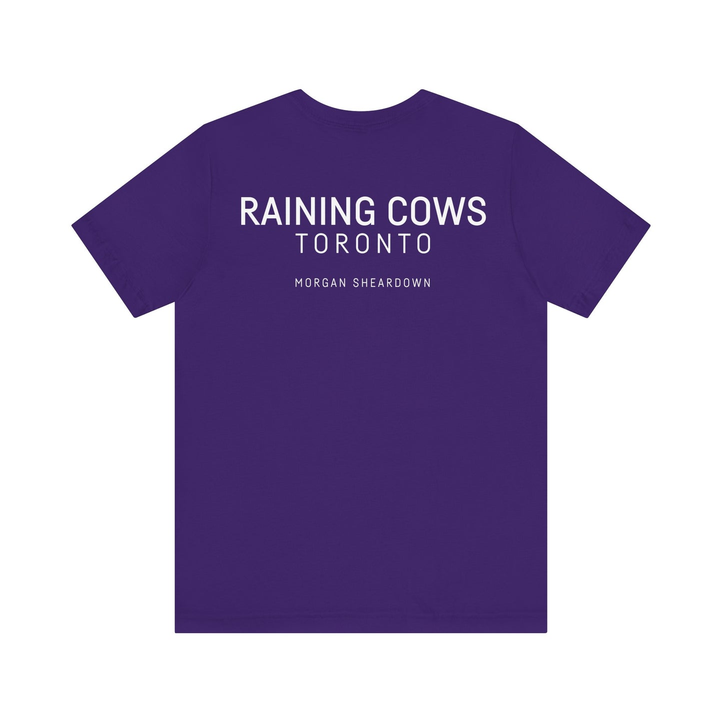 RAINING COWS "The Other Side of Midnight" T-Shirt