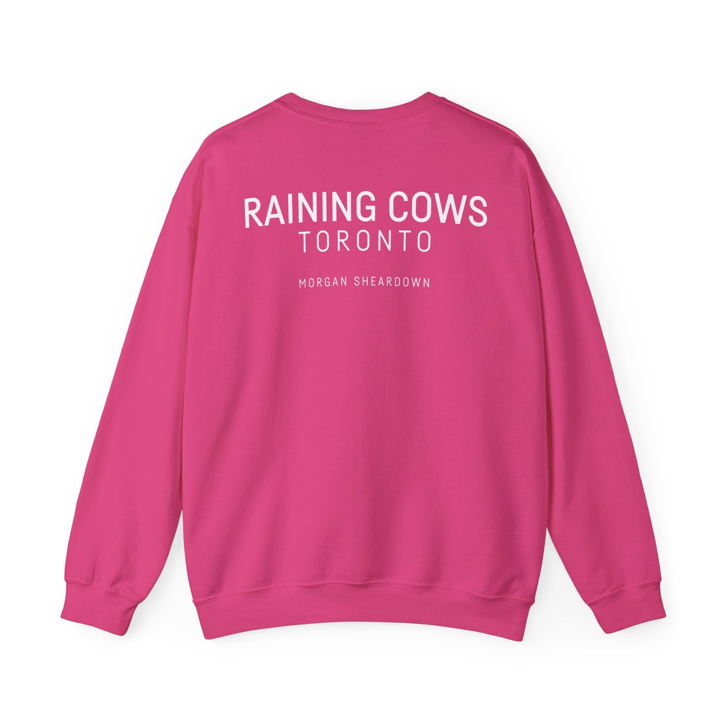 RAINING COWS "Vibrant Horizon" Sweatshirt