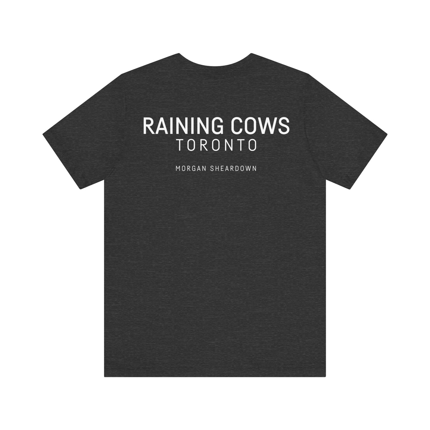 RAINING COWS "The Other Side of Midnight" T-Shirt