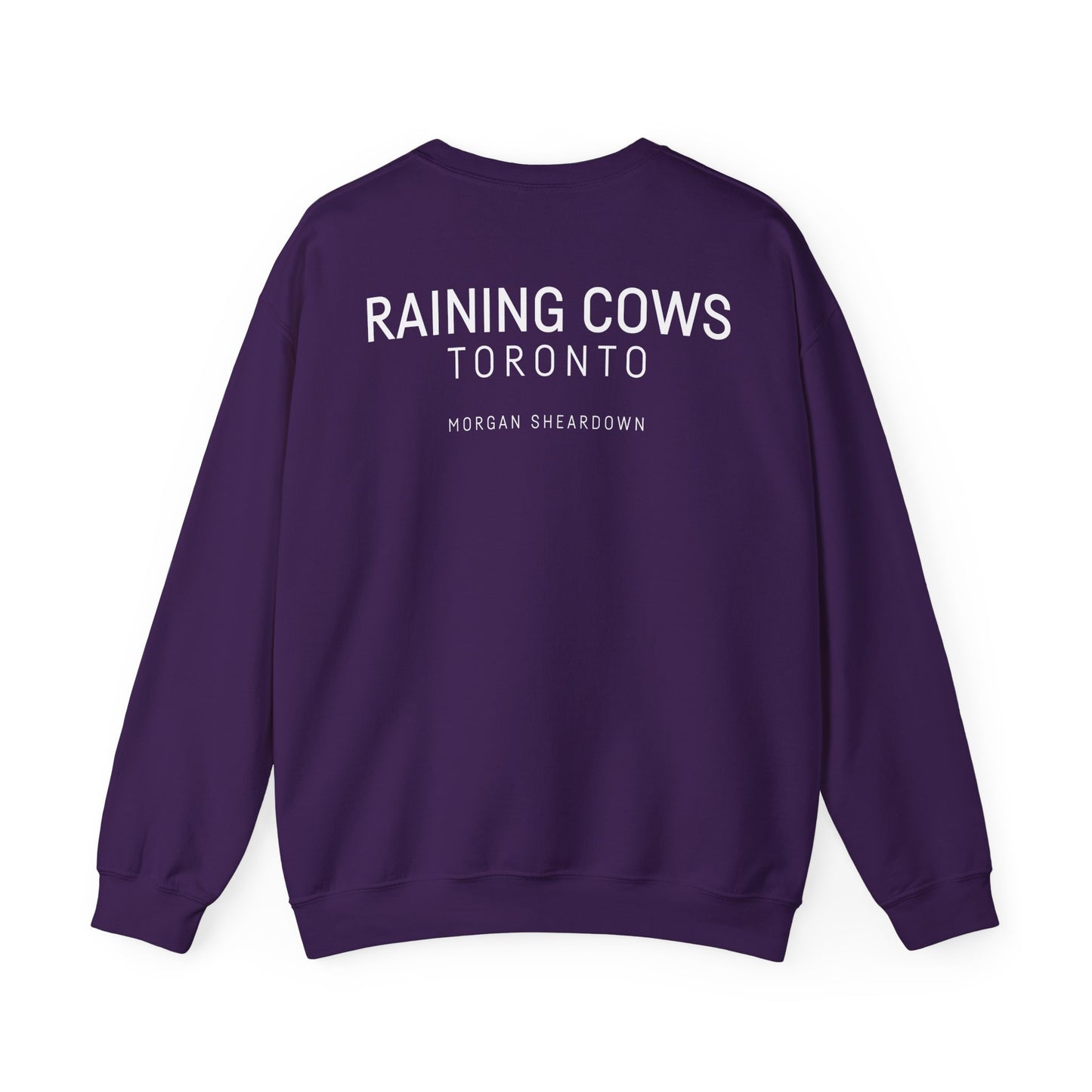 RAINING COWS "Vibrant Horizon" Sweatshirt