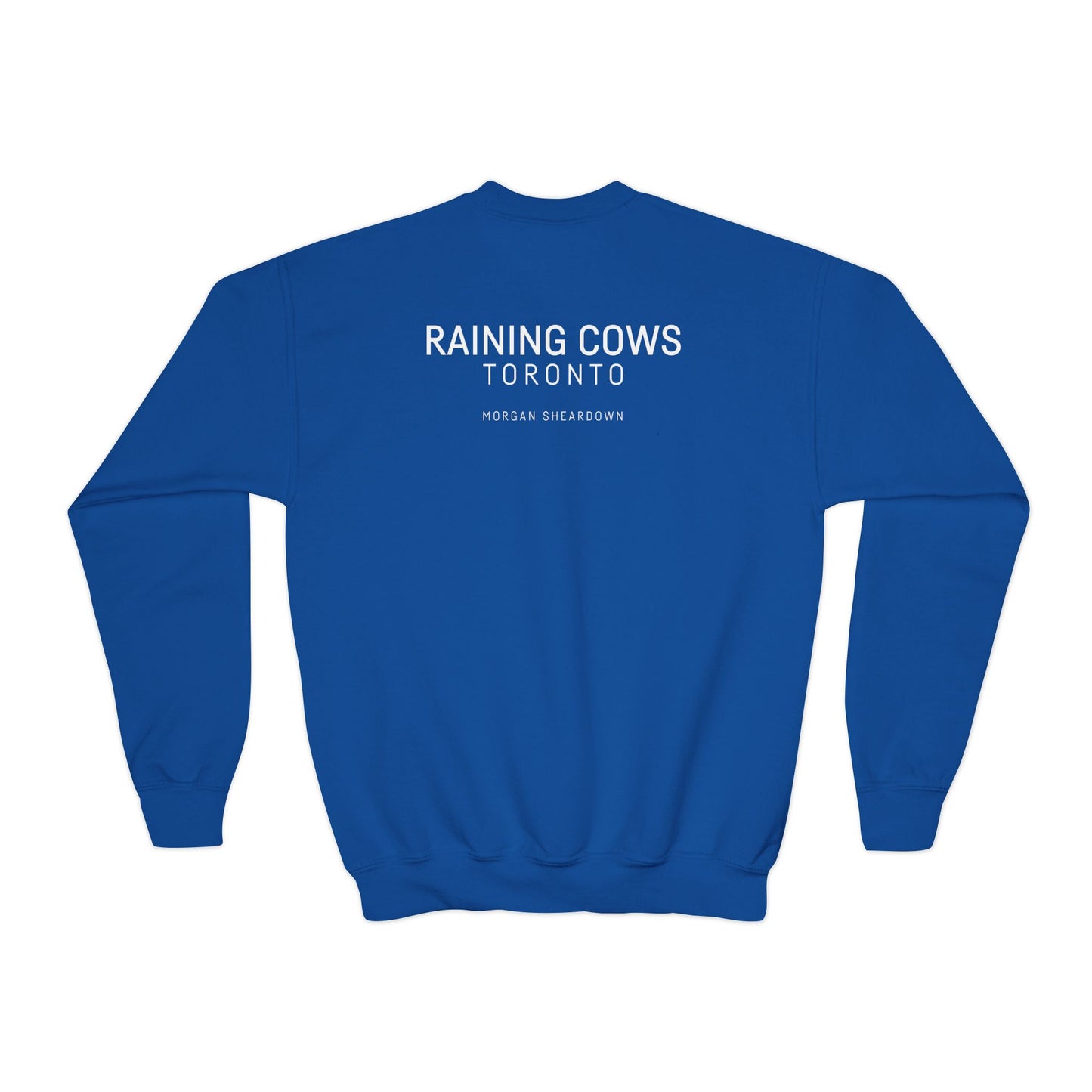 RAINING COWS "Arose After the Storm" Kids Sweatshirt