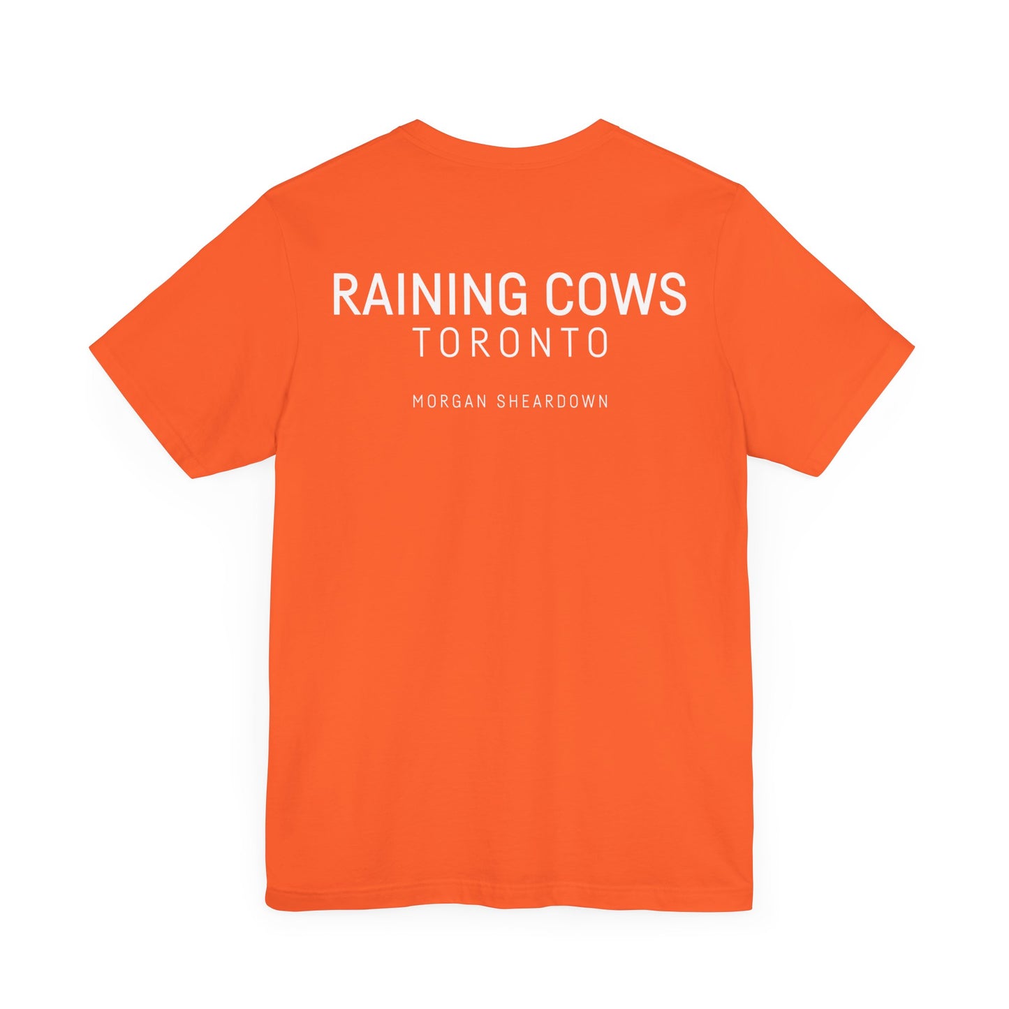 RAINING COWS "Bubble Gum Sun" T-Shirt