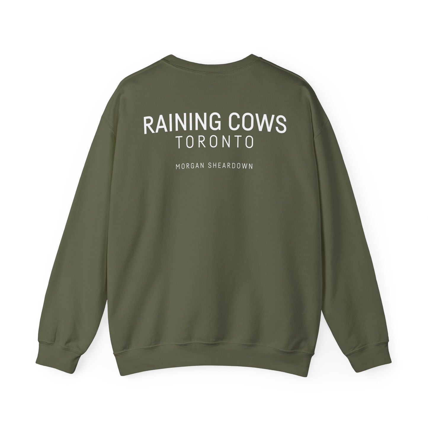 RAINING COWS "Emotional Currency" Sweatshirt