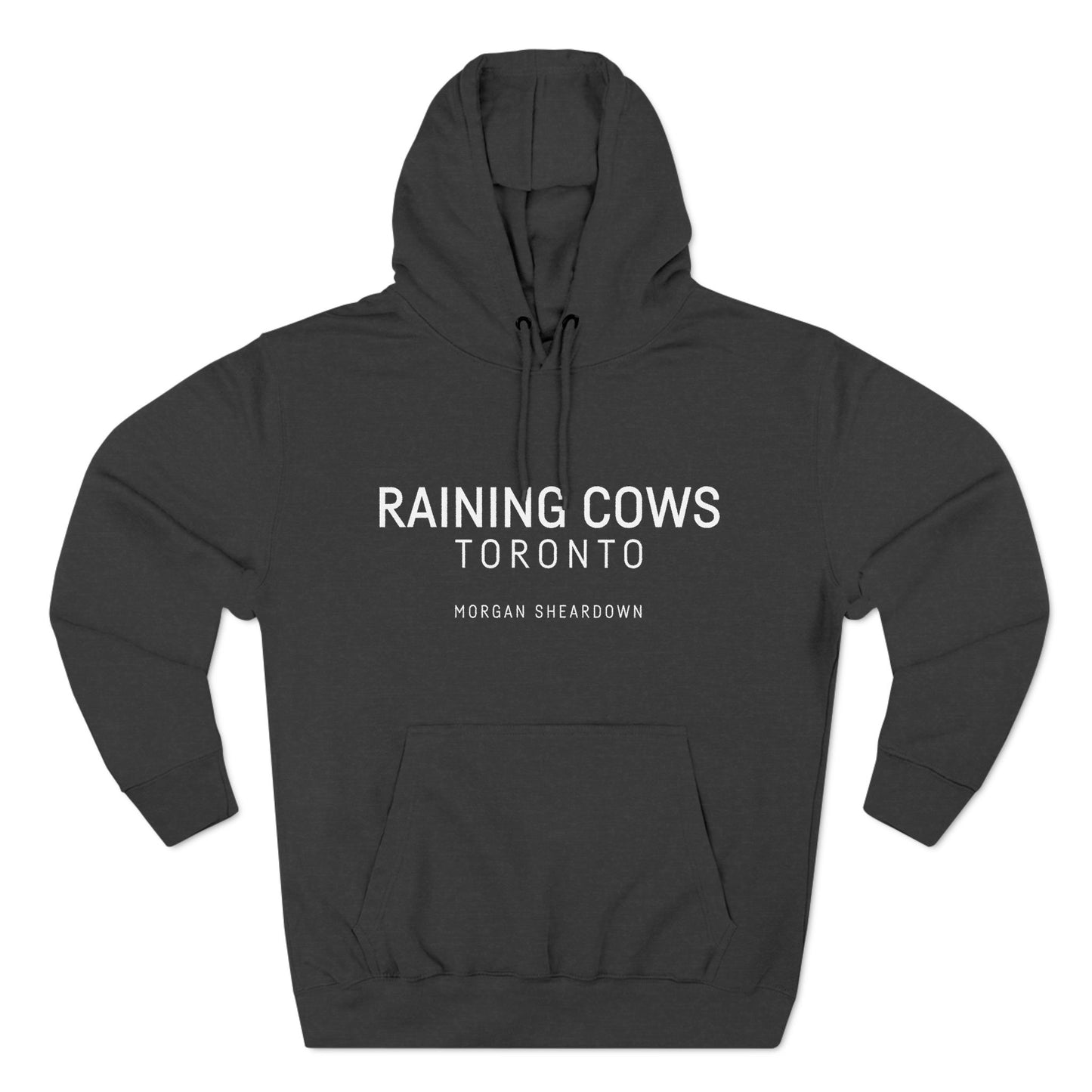 RAINING COWS "Emotional Currency" Hoodie